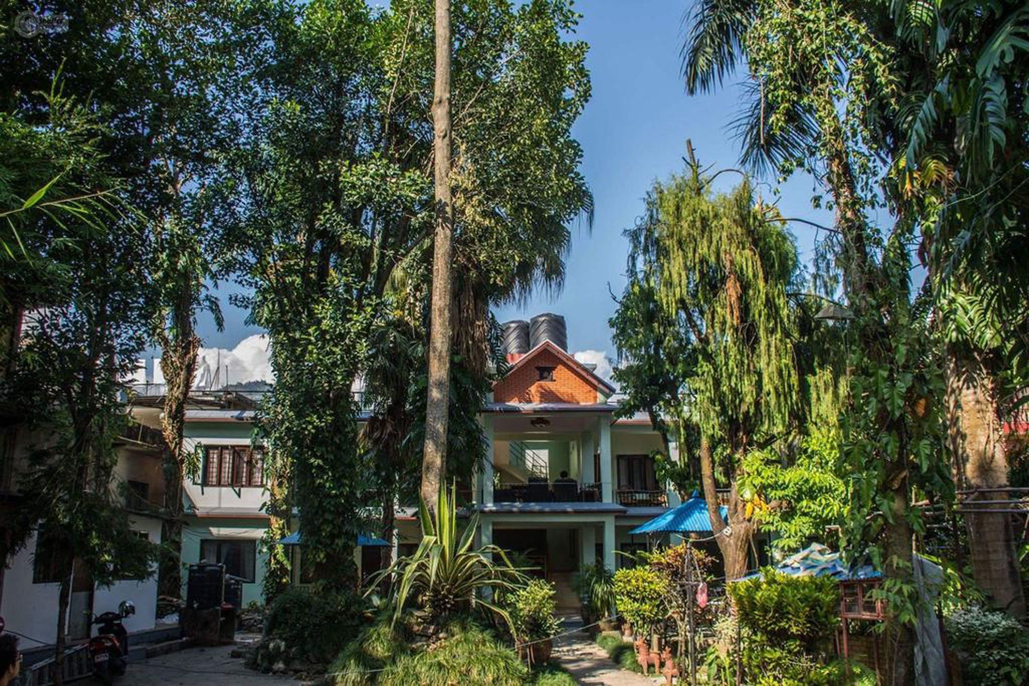 Yeti Guest House Покхара Экстерьер фото